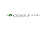 Sustainability Report 2015 - Persimmon Homes ... Persimmon Objectives 2016 28 Governance 29 Key Sustainability