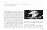 Aortic, Renal, and Carotid CT Angiography · Aortic, Renal, and Carotid CT Angiography Matthew J. Budoff and Mohit Gupta Introduction Computed tomographic angiography of other vascular