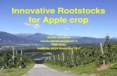 Innovative Rootstocks for Apple crop · Olive 1600 tons 7. Kiwi 1200 tons 8. Plums 1200 tons 9. Pear 200 tons Fruit production in Trentino 77-900 m a.s.l. TIME LINE 1995 Cornell University