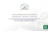 CARPATHIAN SPACE SWISS QUALITY GLOBAL CLIENT … · 1 Presumtions The future of sustainable tourism development in the Carpathians depends on the cooperation at local and regional