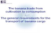 The banana trade from cultivation to consumption The ... · The banana trade from cultivation to consumption-The general requirements for the transport of banana cargo. TRADES Bananas: