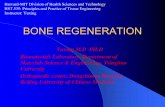 s4g bone yuxing - MIT OpenCourseWare · 2020-01-04 · HST.535: Principles and Practice of Tissue Engineering Instructor: Yuxing BONE REGENERATION Yuxing M.D PH.D Biomaterials Laboratory,