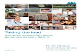 Taking the lead - NHS Clinical Commissioners · 2017-09-06 · Taking the lead: How clinical commissioning groups are changing the face of the NHS @nhsccpress 3 Foreword This report