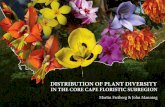 DISTRIBUTION OF PLANT DIVERSITY IN THE CORE …biodiversityadvisor.sanbi.org/wp-content/uploads/2015/11/...4 Distribution of plant diversity in the Core Cape Floristic Subregion (2013)