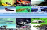 TALLER PARA DESARROLLAR UN PLAN DE SALUD PARA LA …...de las islas galÁpagos 5–9 diciembre 2016 • december 5–9, 2016 workshop to develop a wildlife health plan for the galÁpagos