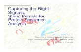 Capturing the Right Signals: String Kernels for Protein ...kumar001/cbcb/powerpoint/karypis.pdfA widely used machine learning tool that learns a maximum margin linear binary classifier.