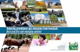 Reducing greenhouse gas emissions from livestock: Best ... · Foreword ‘Reducing Greenhouse Gas Emissions from Livestock: Best Practice and Emerging Options’ is a joint effort