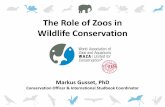 The Role of Zoos in Wildlife Conservationmpoc.org.my/upload/Paper13_DrMarkus_Gusset.pdf · three major zoos in Malaysia: Zoo Negara (national zoo), Taiping Zoo and Melaka Zoo. these