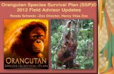Orangutan Species Survival Plan (SSP)© 2012 Field Advisor ...€¦ · Orangutan Species Survival Plan (SSP)© 2012 Field Advisor Updates Ronda Schwetz –Zoo Director, Henry Vilas