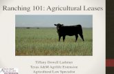 Ranching 101: Agricultural Leases - tscra.orgtscra.org/wp-content/uploads/2017/03/Ranching-101-Leasing.pdf · •Agricultural land receives more protection than non-ag land: •Limited