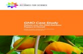 Papaya case, FINAL (standard page numbering)[1] · 2 Thegoalofthiscasestudyistodiscusstheissuessurroundingtheuseofgenetically modified!organisms!(GMOs)!in!agriculture.2!WewillfocusontheRainbowp