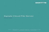Egnyte Cloud File ServerWith Egnyte Storage Sync, files on any local storage device (SAN or NAS) can be synced online, allowing users to store, share and access from anywhere, with