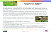 Food Safety Tips for School Gardens · Food Safety Tips for School Gardens Schools across the nation are using gardens to help children discover where food comes from and to develop