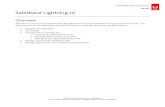 Salesforce Lightning UI · Salesforce Lightning UI . Overview Salesforce is the Customer Relationship Management tool used by Adobe to manage customers, leads, and opportunities for