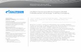 download.microsoft.comdownload.microsoft.com/.../Files/4000011406/Gazprom_Lync_CS.d…  · Web viewTo maximise the value of its energy portfolio, Gazprom has established global trading