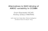 Alternatives to NAO driving of AMOC variability in CCSM4€¦ · •Alternatives to NAO exist for driving AMOC variability in CCSM4 • Modest changes in surface flux structure can
