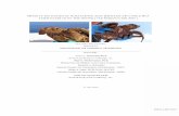 DWH-AR0149417used to quantify the injury to oceanic-stage sea turtles in the northem Gulf of Mexico caused by the DWH oil spill.. This report contains a detailed description of the