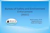 Bureau of Safety and Environment Enforcement...Bureau of Safety and Environmental Enforcement (BSEE) 4 Office of Congressional Affairs Office of Public Affairs Office of Policy and