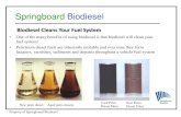 Springboard Springboard Biodiesel Property of Springboard Biodiesel Biodiesel Cleans Your Fuel System