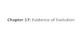Chapter 17: Evidence of Evolution - Goodhue...Selective Breeding & Evolution •Evolution is genetic change in a line of descent through successive generations •Selective breeding