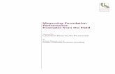 Measuring Foundation Performance: Examples from the Field · Measuring Foundation Performance: Examples from the Field | 7 matrix of foundations reviewed in this scan.) It is important