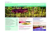 safefoodinsights...safefoodinsights ISSUE 3 July 2010 CAMPAIGNS NEWS TRAINING PARTNERSHIPS FUNDING RESEARCH EVENTS THE GROWTH OF COMMUNITY FOOD CONTENTS Weigh2Live – New campaign