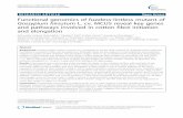 RESEARCH ARTICLE Open Access Functional genomics of … · 2017-04-06 · RESEARCH ARTICLE Open Access Functional genomics of fuzzless-lintless mutant of Gossypium hirsutum L. cv.