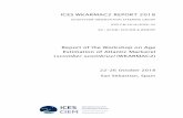 ICES WKARMAC2 REPORT 2018 Reports/Expert... · 2019-03-01 · ICES WKARMAC2 REPORT 2018 | 3 2 Agenda and participation The workshop agenda is presented in Annex 1. A total of 23 participants