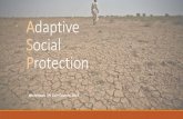 Adaptive Social Protection - World Bankpubdocs.worldbank.org/en/836361575490788719/SPJCC... · PREPARE Prepare Shock Ex ante Ex post Cope A more resilient person: Leverages a range