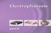 Electrophoresis - MRC-Lab · 2017-01-04 · Mini Systems ELECTROPHORESIS ME-10-7-10, Horizontal Gel Electrophoresis System ME-15-7-10-15, Horizontal Gel Electrophoresis System ME-15-7-10-15