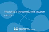 Nicaragua s Entrepreneurial Ecosystem · 2018-04-01 · offer, which areas are the strongest, and where collaboration is needed to strengthen the entrepreneurial ecosystem. This study