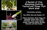 A Review of Vine Mealybug Controls Tested and Those That ... A Review of Vine Mealybug Controls Tested