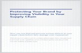 Protecting Your Brand by Improving Visibility in …...Protecting Your Brand by Improving Visibility in Your Supply Chain page 2 Contents 1.0 Executive Summary 3 2.0 The Drive for