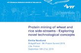 Protein mining of wheat and rice side-streams - Exploring ...€¦ · rice side-streams - Exploring novel technological concepts Emilia Nordlund Bridge2Food - 9th Protein Summit 2016