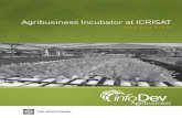 Agribusiness Incubator at ICRISAT - infoDev · 2 1 SUMMARY The agribusiness incubator in the state of Andhra Pradesh in India is the result of a partnership between the Indian government