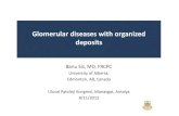 Glomerular diseases with organized deposits · 2014-01-08 · Renal diseases with organized deposits are relatively uncommon. ... Occurs in 24% of patients with cryoglobulinemia and
