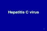 Hepatitis C virus - WordPress.com€¦ · 05/04/2013  · 1988: hepatitis C virus identified ... - Mixed cryoglobulinemia (vasculitis) - Membranoproliferative glomerulonephritis ...