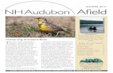 Conserving Grassland Birds - NH Audubon | Protecting New ...€¦ · Sanctuary Field Trips 11 Statewide Chaptersinvolved mailing outreach materials to 12 NEW HAMPSHIRE AUDUBON NEWSLETTER
