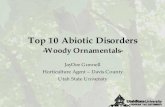 Top 10 Top 10 AbioticAbiotic DisordersDisorders...Top 10 Abiotic Disorders •Iron chlorosis •Planting depth •Excessive irrigation gp •Summer scorch •Girdling roots Mh dil