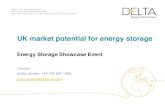 UK market potential for energy storageenergysavingtrust.org.uk/sites/default/files/EST_EnergyStorageShowcase... · Narada (SolaX) Powervault SMA Samsung Leclanche / Ace On Sonnen