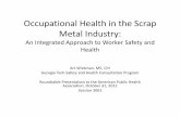 Occupational Health in the Scrap Metal Industry ... Occupational Health in the Scrap Metal Industry: