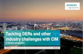 Tackling DERs and other industry challenges with CIM CIMug...• Short Circuit Power • … > 65GW of Wind and PV-Power Plants connected to LV- and MV-systems Peak Load („Spitzenlast“)