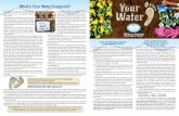 What’s Your Water Footprint?docs.palmcoastgov.com/departments/utility/...2018.pdf · +Lawn watering is limited to twice a week during Daylight Savings Time (March to November) and