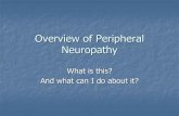 Overview of Peripheral Neuropathy...Sara Austin, MD, FAAN Specialty: Neuromuscular disease Board Certified in Neurology and EMG 711 F West 38th Street Austin, TX 78705 512-637-5854Types
