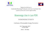 Bioenergy Use in Lao PDR · 2018-01-08 · Bioenergy Use in Lao PDR PHONEPASONG SITHIDETH ... Biodiesel 194.44 Financial Incentive for Investors Renewable Energy Strategy Development