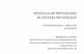 MOLECULAR PATHOLOGY IN SYSTEM PATHOLOGY · Reason for Molecular Testing •molecular testing for paternal zygosity and prenatal testing of the fetus plays an important role in the