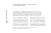 Spatial Heterogeneity in the Tumor Microenvironmentperspectivesinmedicine.cshlp.org/content/6/8/a026583.full.pdf · Recent developments in studies of tumor heterogeneity have provoked