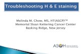 Melinda M. Chow, MS, HT(ASCP) Memorial Sloan Kettering ... · Hematoxylin & Eosin staining is the most frequent routine stain in the Mohs Micrographic Surgery tissue preparation.