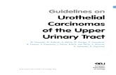 Urothelial Carcinomas of the Upper Urinary Tract · Medline was searched for urothelial malignancies and UTUC management using combinations of the following: urinary tract cancer,