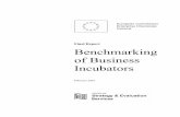 benchmarking of business incubators · Added Value – the business incubation process adds value by accelerating the start-up of new businesses and helping to maximise their growth